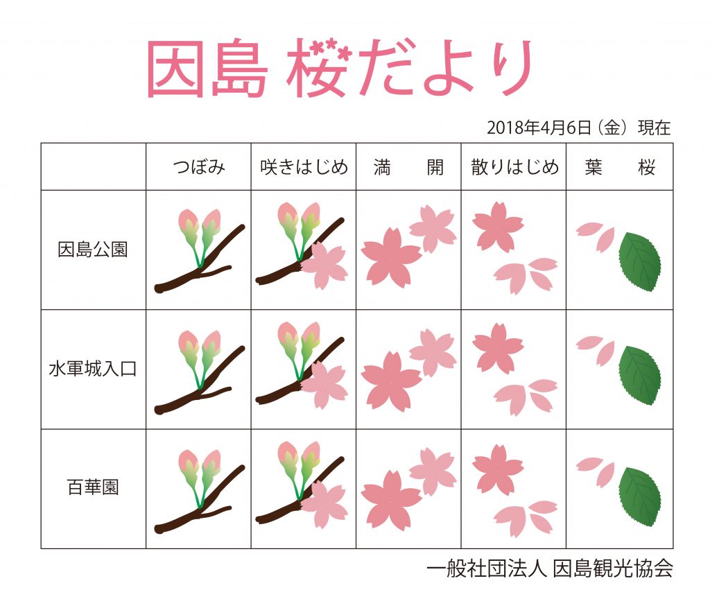 因島 さくら開花状況 いんのしま観光なび 因島観光協会